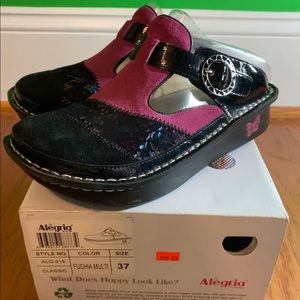 Fuchsia Multi Classic Alegria